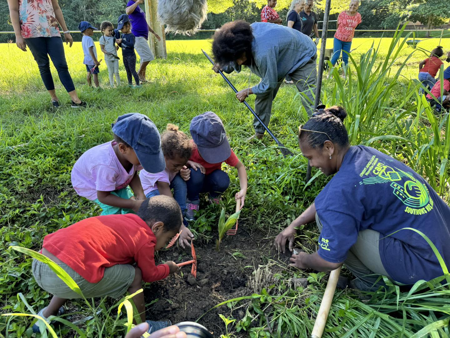 Reboisement de plantes endémiques avec l'Ecole Maternelle de le tribu de Pothé. 05/24